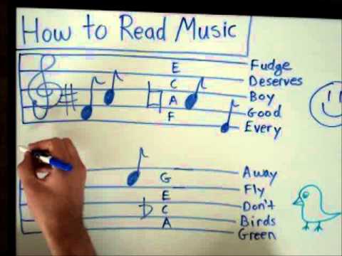 How to Read Music - Basics for Beginners - Music Theory Lesson