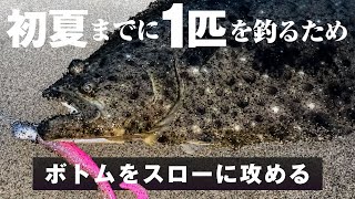【仙南サーフ】初夏までのボトム攻略 – スローに探るワームの使い分け #ヒラメ #マゴチ