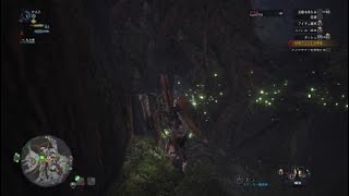【狩り日記】アンジャナフ・再リベンジ中編【モンハン】