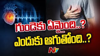 Special Focus : గుండె ఎందుకు ఆగిపోతుంది..? కరోనా తెలీకుండా కాటేస్తోందా.. ?