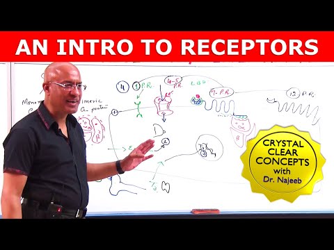 An Intro to Receptors | Types, Structure & Location | Part 1