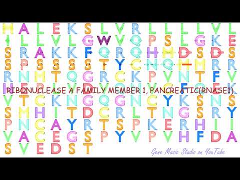 Gene Music using Protein Sequence of RNASE1 "RIBONUCLEASE A FAMILY MEMBER 1, PANCREATIC"