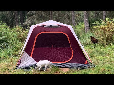 Coleman 6 person SKYLODGE first time setup with @ShannaEwing
