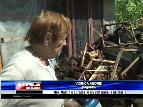 pagube produse de urs si la beceni