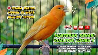 Download lagu Pancingan Suara Kenari Gacor‼️ Ampuh untuk Masteran Kenari Muda dan Terapi Kenari Macet Bunyi 581 mp3