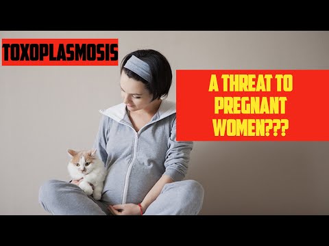 Toxoplasmosis - a threat to pregnant women?