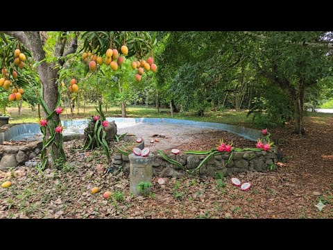 Balneario Abandonado muchos Mangos y otras Frutas Tacuba Ahuachapan 