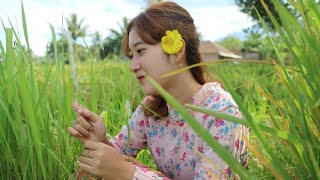 Download lagu Confide About Match .. !! A Beautiful Village Girl Similar to a Caucasian Lives a Simple Life mp3