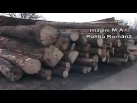 jurnal muscel tv 17 11 2015 perchezitii pietrosani   prin tel m  zamfir   ela ionascu