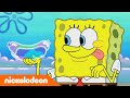 SpongeBob | SpongeBob veroorzaakt CHAOS in Bubbelstad ? | Nickelodeon Nederlands