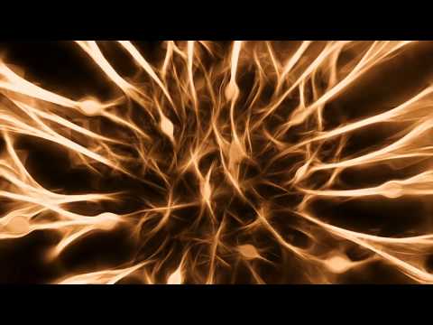 Neuron - Muhandas, Asifeh