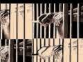 Spearhead ~ Tha Payroll