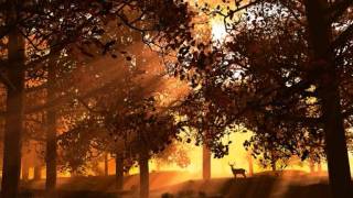 Highland Laddie Bagpipes