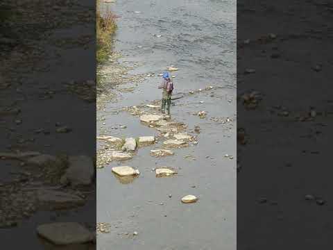 Humber River - Toronto, Ontario  Etienne Brul'e Park Bridge.