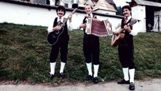 preview picture of video 'Original Gösselsdorfer Trio - Wo das Dorf zu Ende geht'