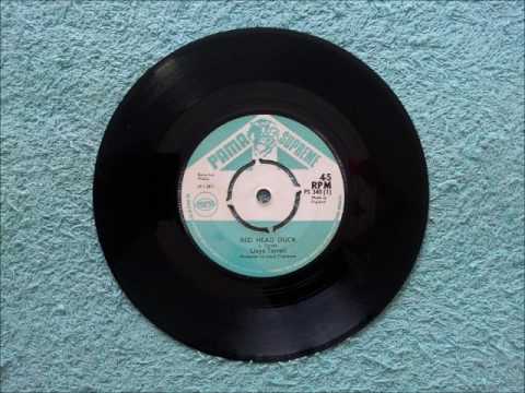 Lloyd Terrell Red Head Duck