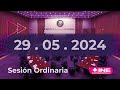 Sesión Ordinaria del Consejo General (29/05/2024)