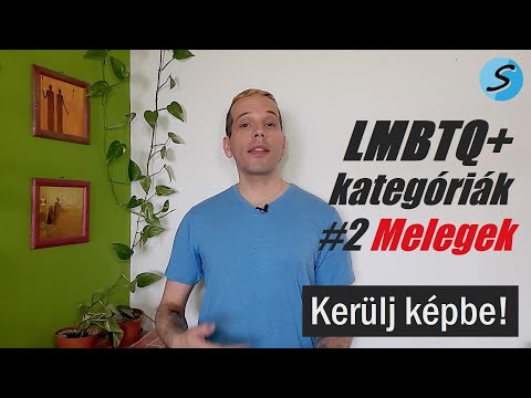LMBTQ+ | A melegek