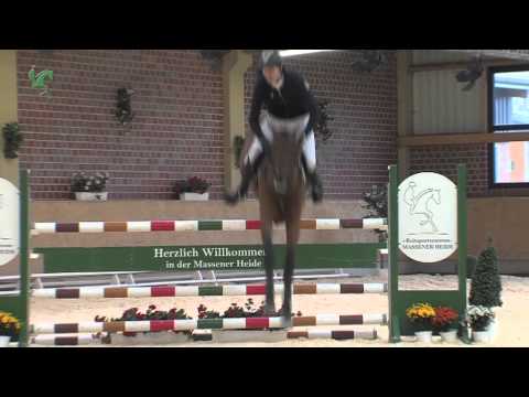 RSZ-Hengst Landelin von Landor S x Lanciano