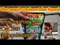 SOLUSI AYAM SAKIT SNOT DAN NGOROK SANGAT MANJUR