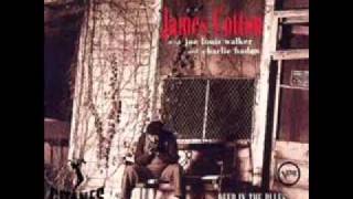 James Cotton blues in my sleep