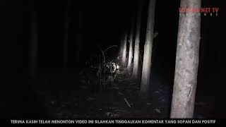 Download lagu Ada Sosok si Bergaun Merah di Alas Jati Indramayu mp3 Download lagu Ada Sosok si Bergaun Merah di Alas Jati Indramayu mp3