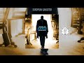 Mad Mellow Jay Z European Gangster 2008 Trabajo Completo