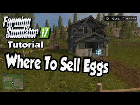 Farming Simulator 17 Tutorial -Where To Sell Eggs At (Goldcrest Valley) | FS17 Tutorials
