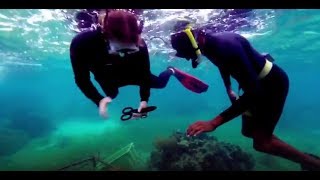Coral Reef Restoration in the Caribbean