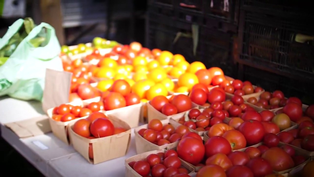 Les Herbes Salées du Bas-du-Fleuve