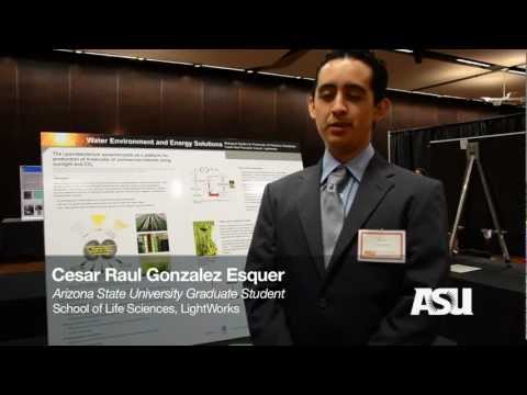 ABOR Student Poster Session