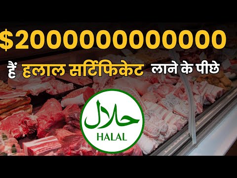 How Halal Products Affect the Economy? | What is Halal vs Haram? Halal Certificate