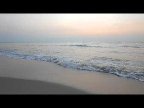 Beach Video