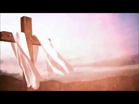 Das Evangelium nach Markus -  Schlachter 2000