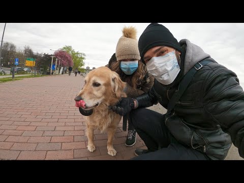 Kako iskoristiti trenutnu SITUACIJU (Vanredno stanje) Ep.8