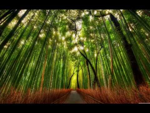 Hollow bamboo - Peter Makena