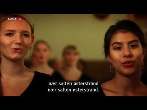 Vaer velkommen, Herrens ar, Kong Christian and Der er et yndigt land - New Year 2016-2017