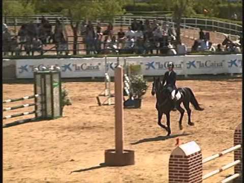 BROOKLIN 1,10 (DEBUT) VALDEMORO-HUGO ALVAREZ 12/05/2013
