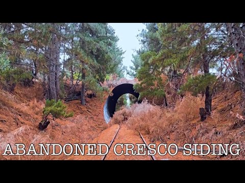 Exploring the Abandoned Cresco Siding