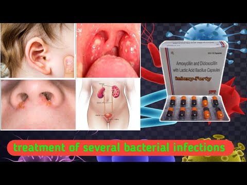 Amoxycillin Dicloxacillin & Amp Lactic Acid Bacillus Capsules