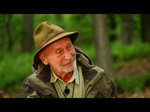 Reviczkyvel az Erdőben – IV. évad - 5/12.  Oktatással a Természet oldalán, a soproni erdőkben