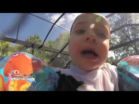 ABC 7 News at 6pm - Thursday November 24, 2016