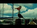 Finding Nemo 2003 That S Not A Duck It S A Pelican Caught A Cold
