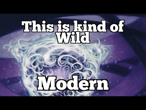 This is kind of Wild | Modern