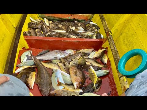 Great catch! Handline Fishing #fishing #handmade