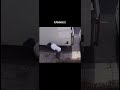 FAHHHH Fyp Fyy Fah Memestiktok Viral Viralvideo Viralshorts Viralshort Fypp Fyyy Fy