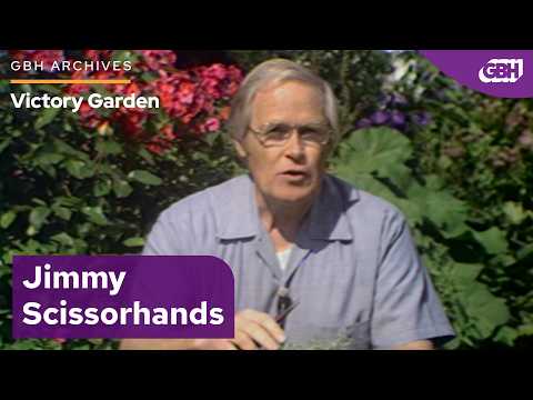 Welcome to the Chop Shop! | VICTORY GARDEN