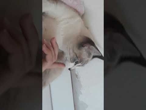 🤣🤣🤣😂😂😂😁😁😁😁😁😊😊😚😚😉😑😄