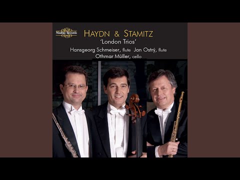 London Trios, No. 1, Divertimento in C Major, Hob.IV:1: II. Andante