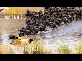 FROM SERENGETI TO MAASAI MARA Survival On The Move Naturedocumentaries Wild Nature